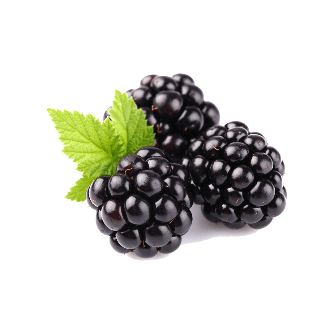 Blackberry