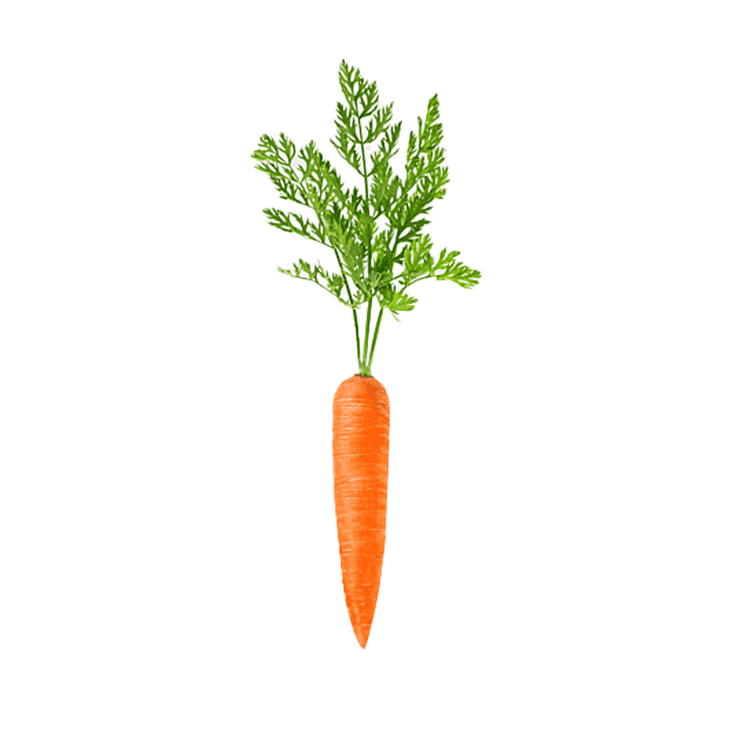 Carrot