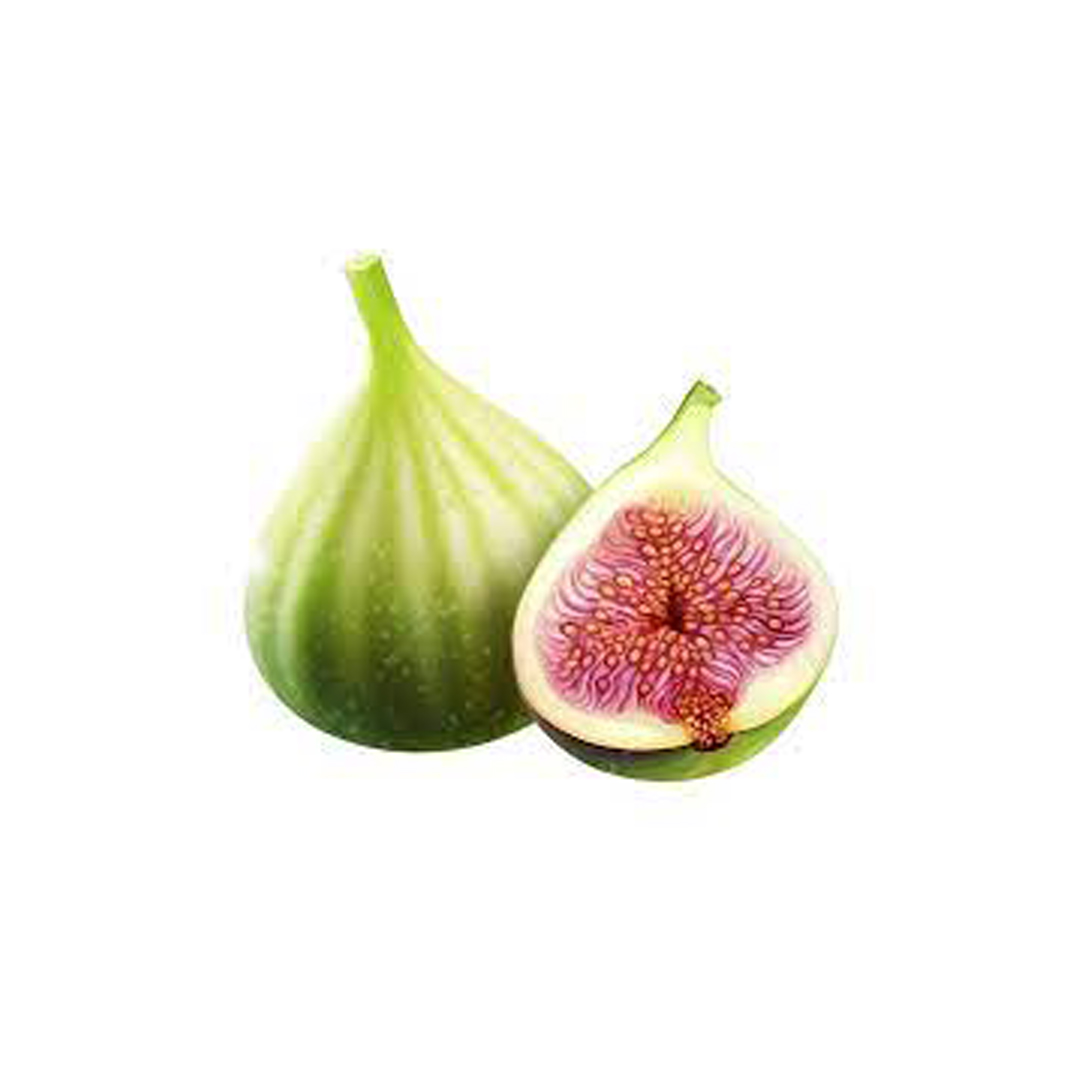 Fig